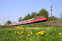 Frühling an den Bahnstrecken, dass heißt Löwenzahn...